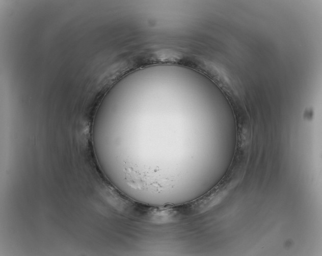 X0000096170321200802011324