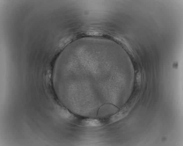 X0000096170322200802011324