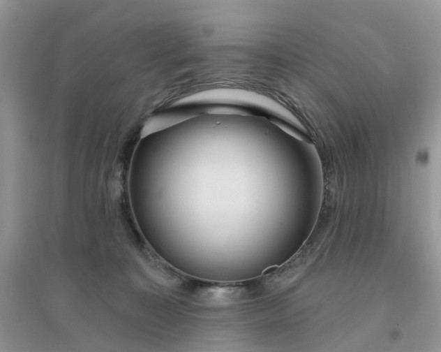 X0000096170323200802011324