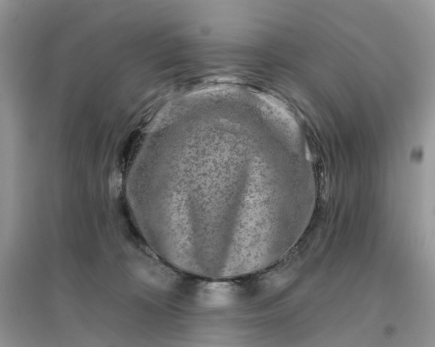 X0000096170324200802011324