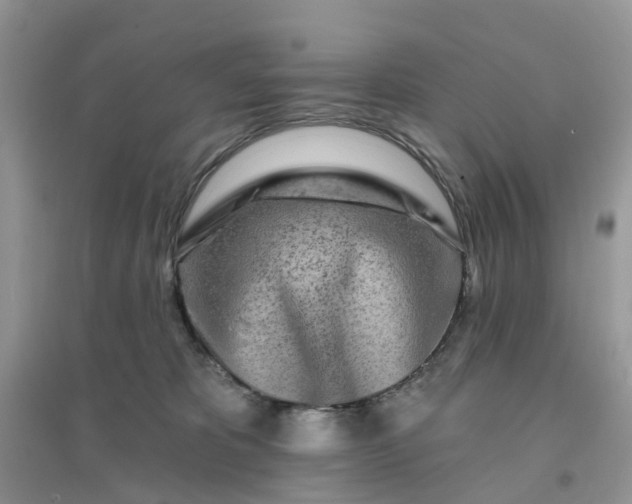 X0000096170325200802011324