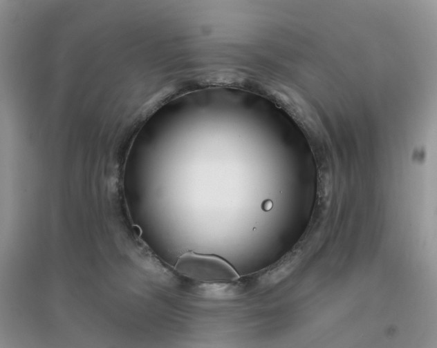 X0000096170326200802011324