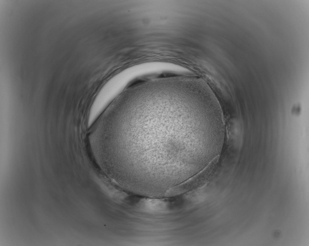 X0000096170327200802011324