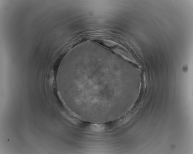 X0000096170328200802011324