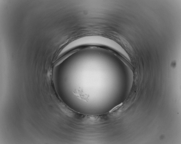 X0000096170329200802011324