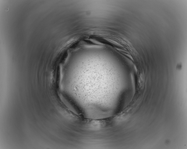 X0000096170330200802011324