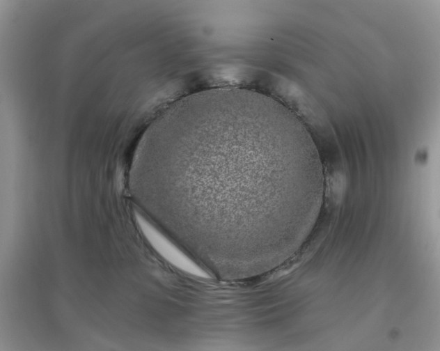 X0000096170331200802011324