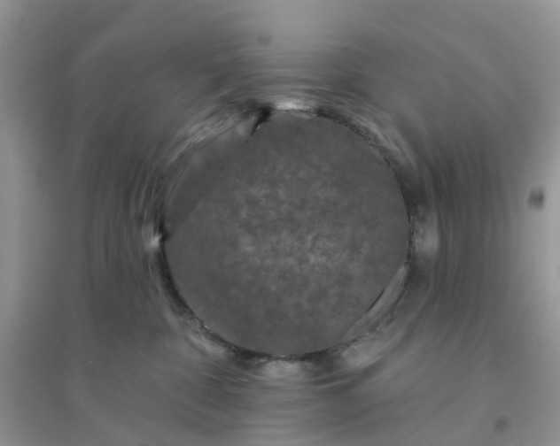 X0000096170332200802011324