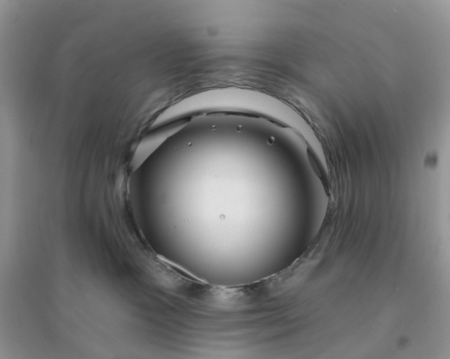 X0000096170333200802011324