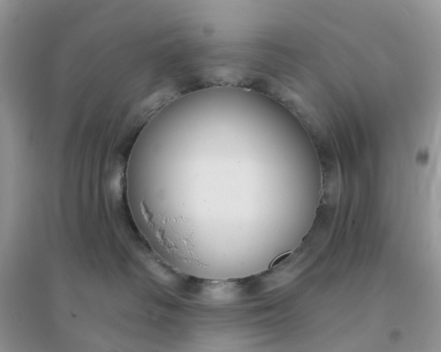 X0000096170334200802011324