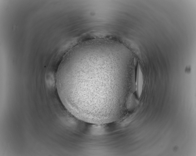 X0000096170335200802011324