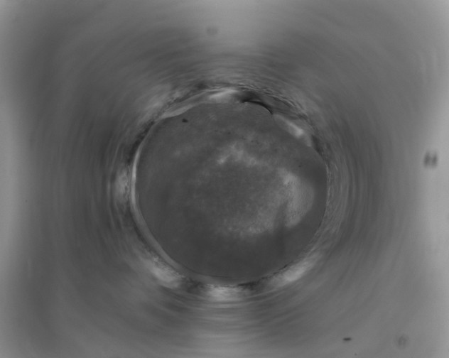 X0000096170336200802011324