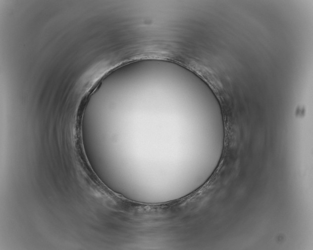 X0000096170338200802011323