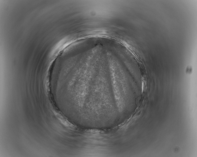 X0000096170339200802011324