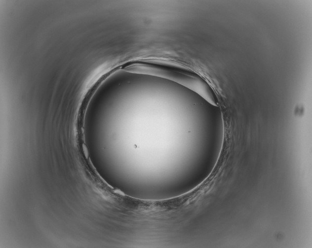 X0000096170340200802011324