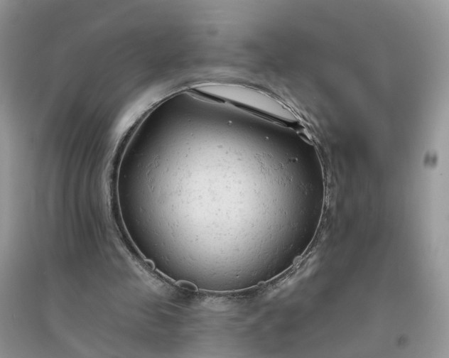 X0000096170341200802011324