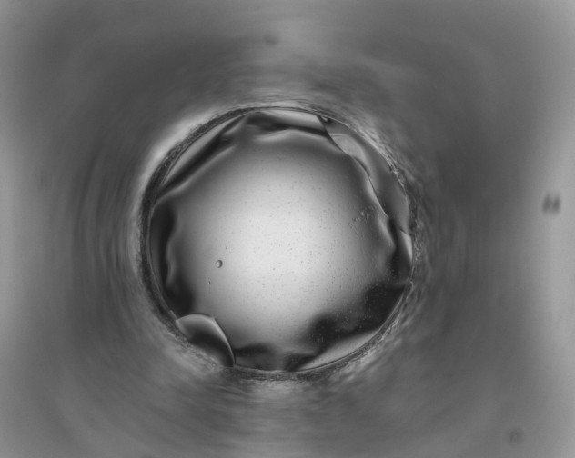 X0000096170342200802011324