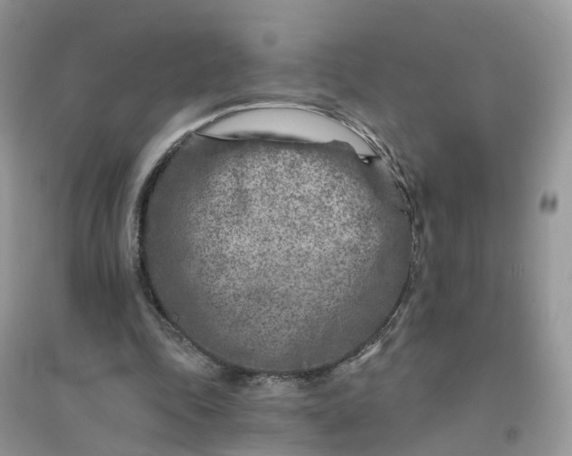 X0000096170343200802011324