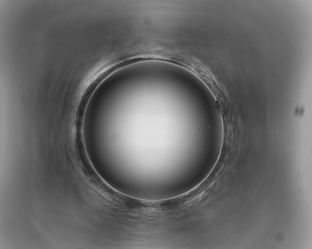 X0000096170344200802011324