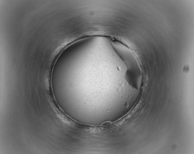 X0000096170345200802011324