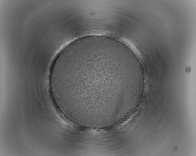 X0000096170346200802011324