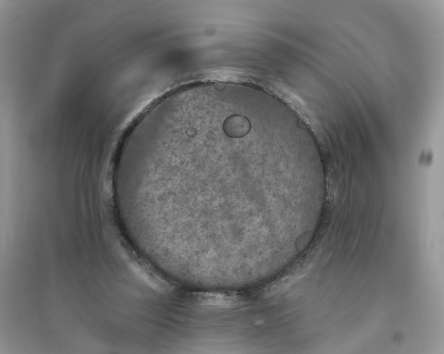 X0000096170347200802011324