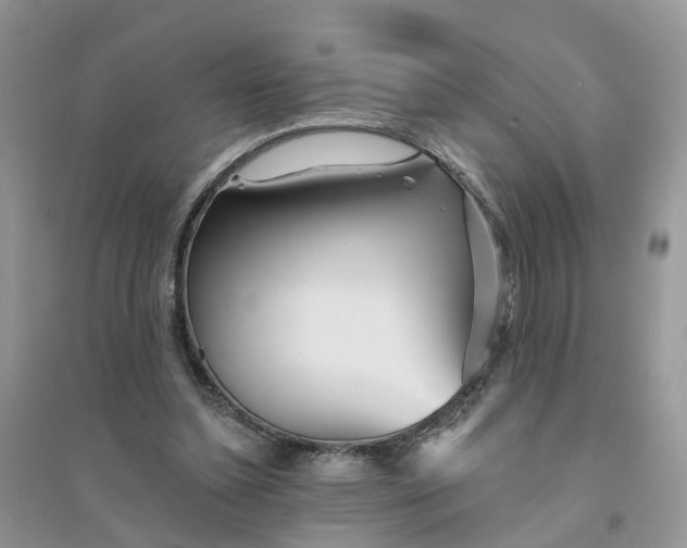 X0000096170348200802011324