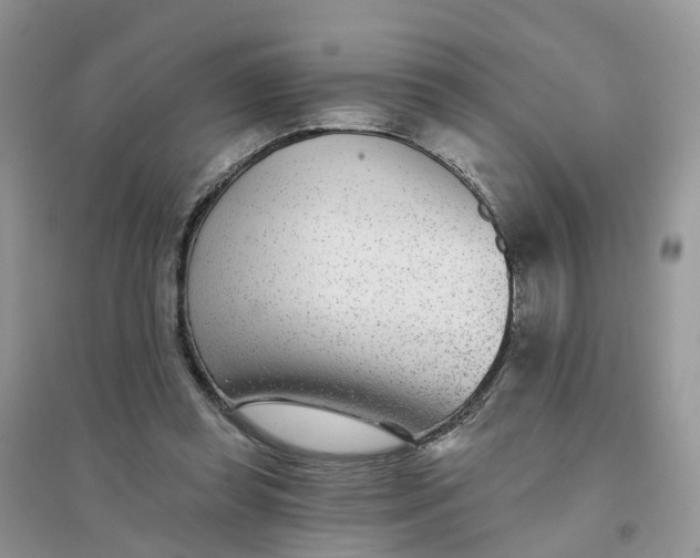 X0000096170349200802011324