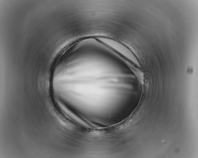 X0000096170350200802011324