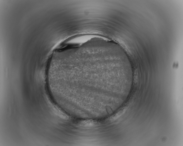 X0000096170351200802011324