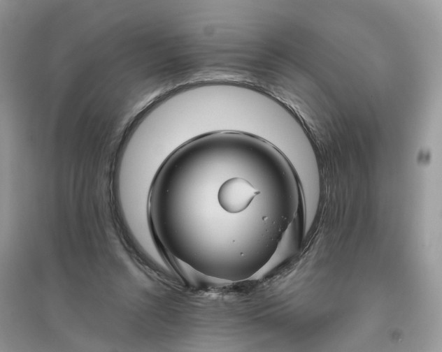 X0000096170352200802011324