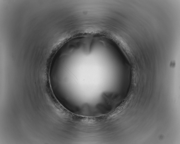 X0000096170354200802011324