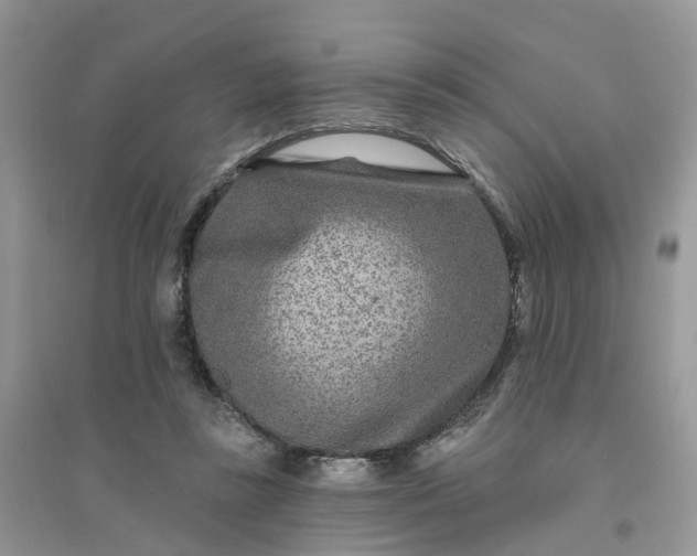 X0000096170355200802011324