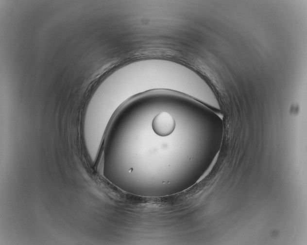 X0000096170356200802011324