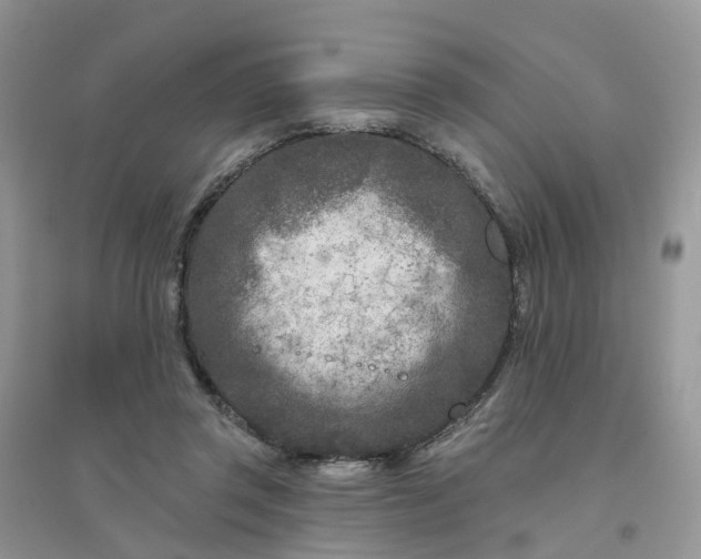 X0000096170357200802011324