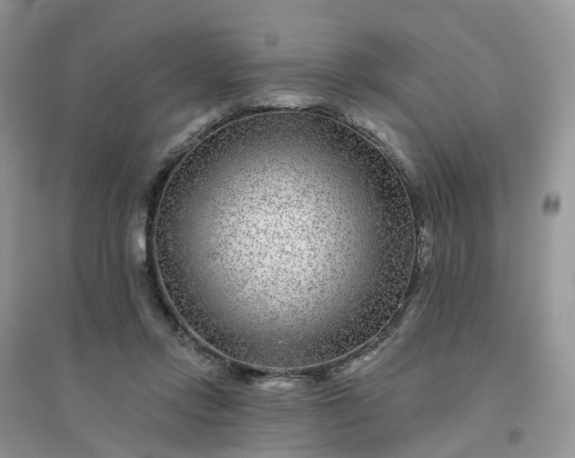 X0000096170358200802011324