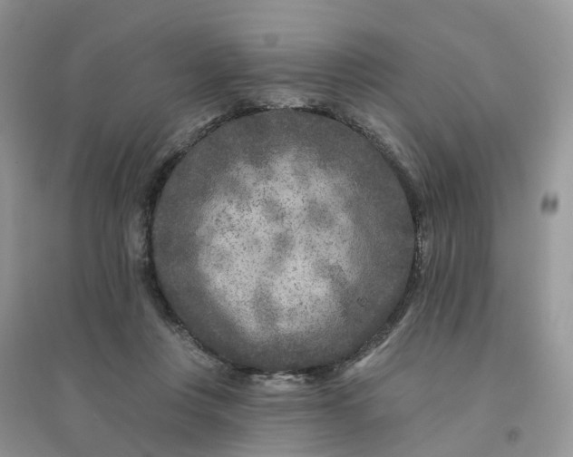 X0000096170359200802011324