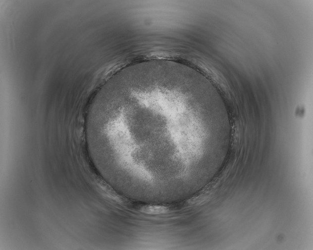 X0000096170361200802011324