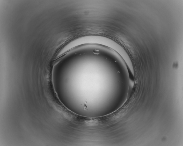 X0000096170362200802011324