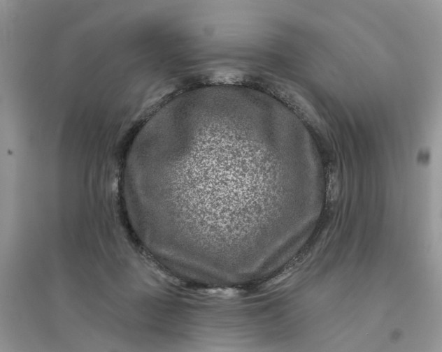 X0000096170363200802011324