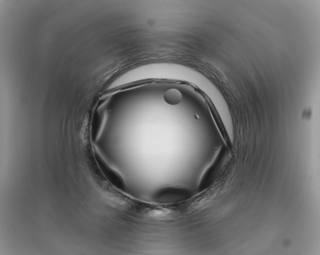 X0000096170364200802011324