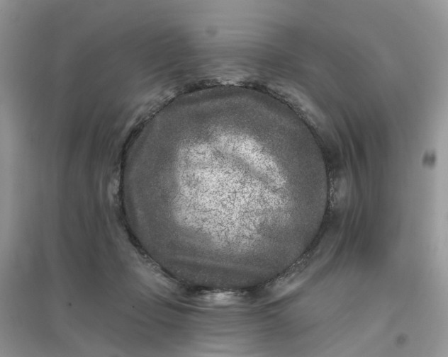 X0000096170365200802011324