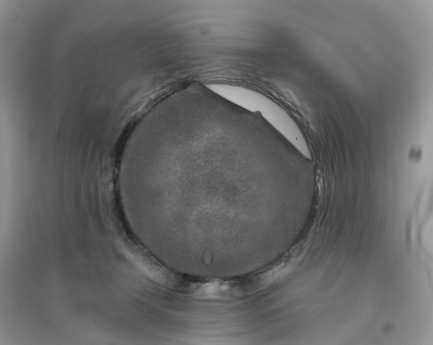 X0000096170366200802011324