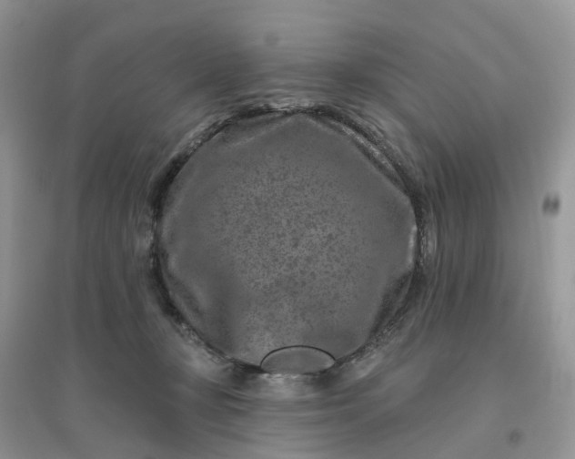 X0000096170367200802011324