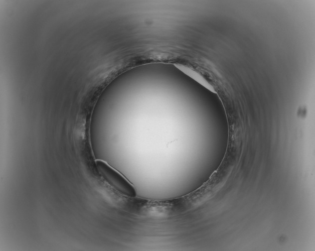 X0000096170368200802011324