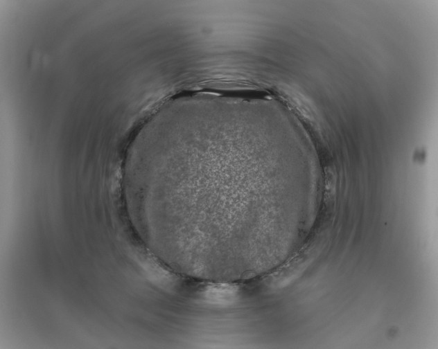 X0000096170369200802011324