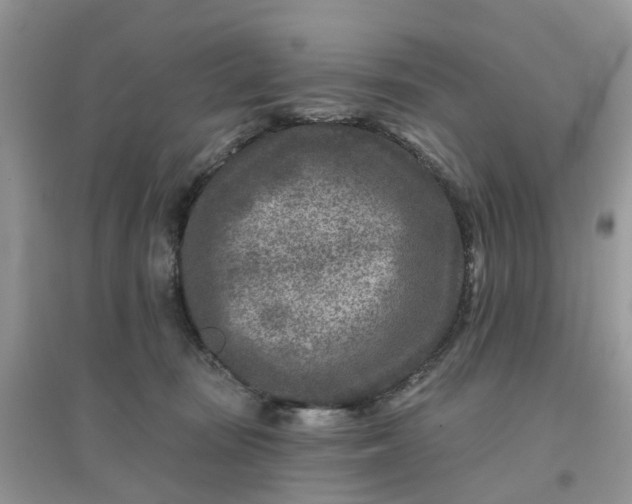 X0000096170371200802011324