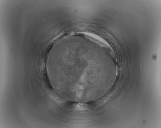 X0000096170372200802011324