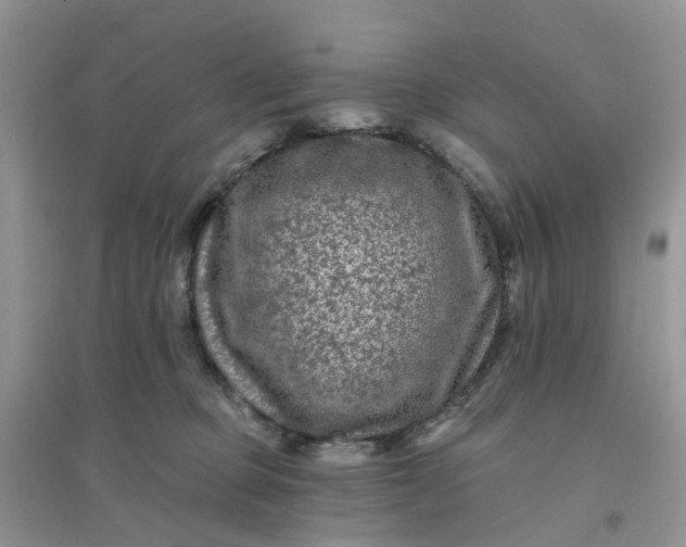 X0000096170373200802011324