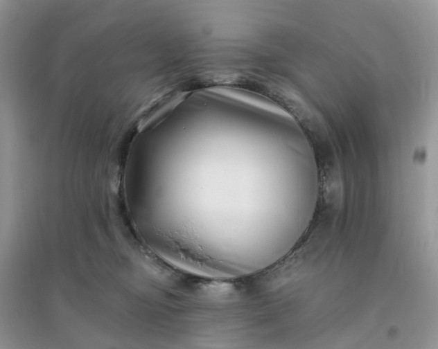 X0000096170374200802011324